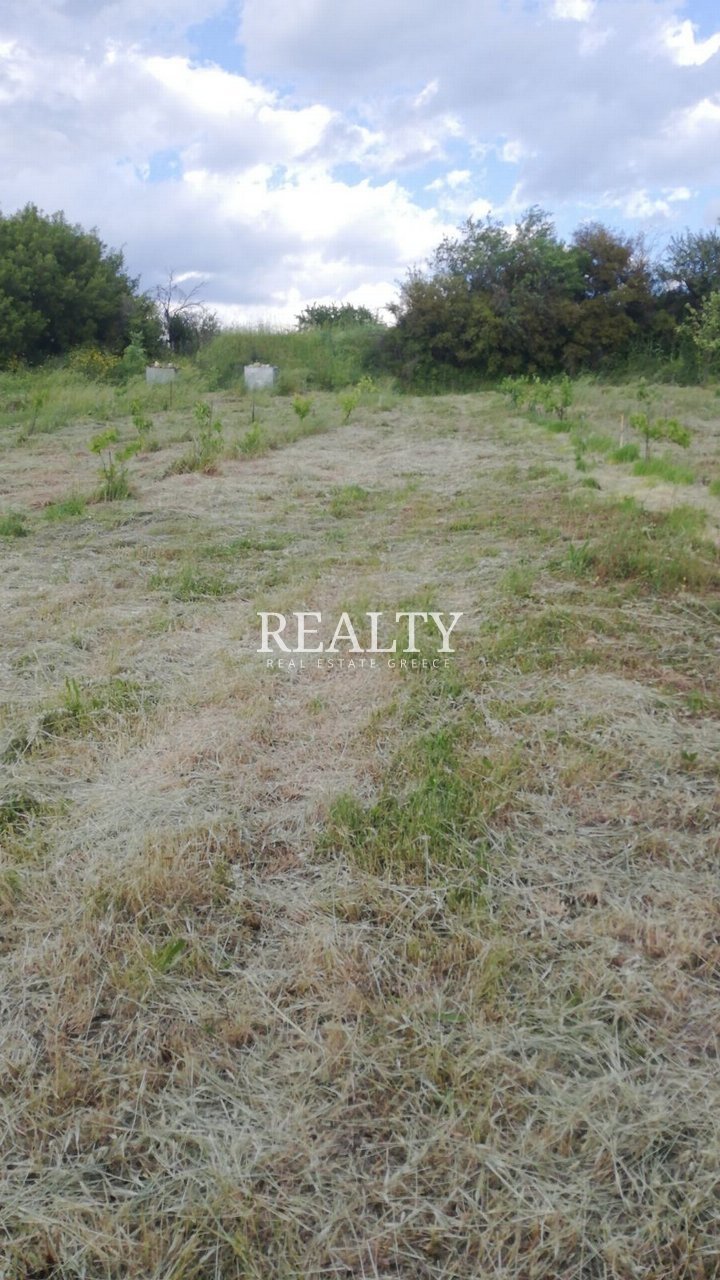 PLOT for Sale - NORTHERN GREECE